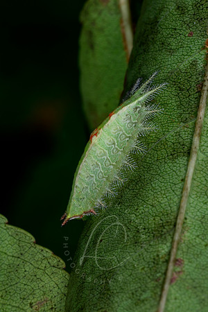_DSC5130