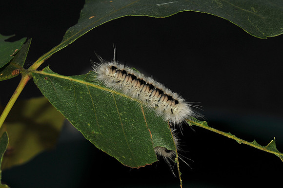 D78_5780