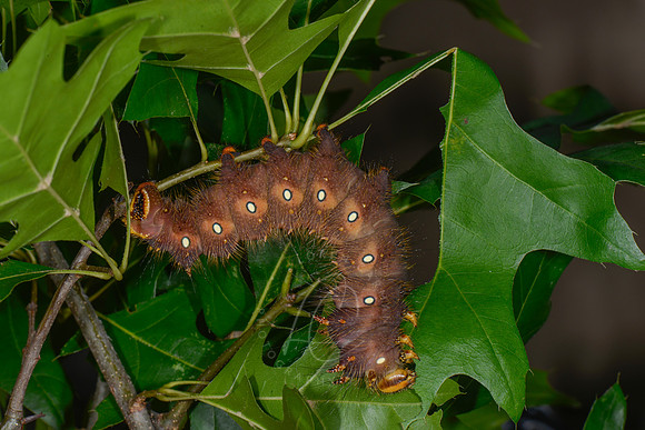 _5025999