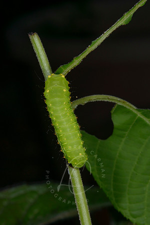 _5015477