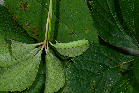 500_5987