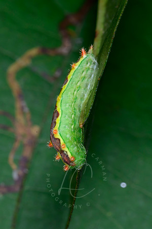 _DSC0197