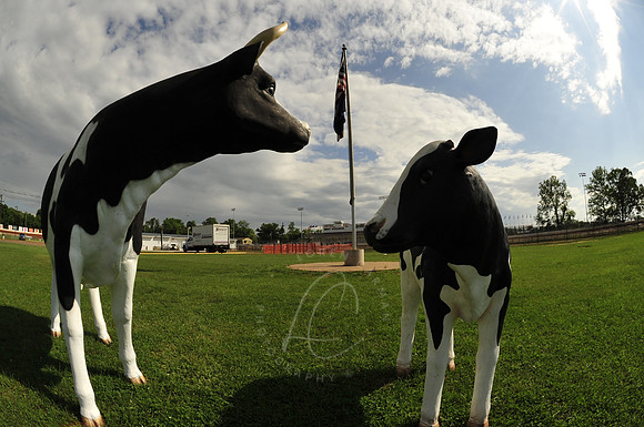 _WIL_6-12-09_LC-1