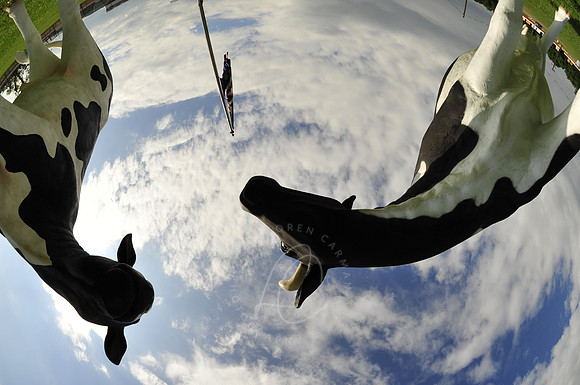 _WIL_6-12-09_LC-5