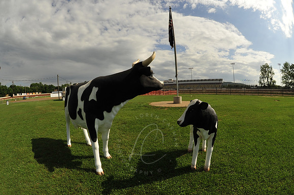 _WIL_6-12-09_LC-3