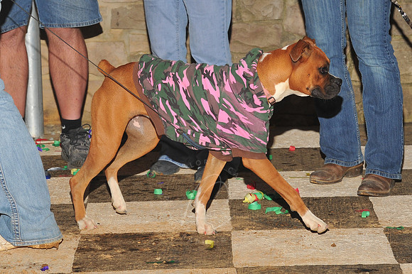 SEL_9-15-12_LLC_LM-101