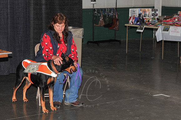DRTTR_1-24-13_LLC_SUN-70