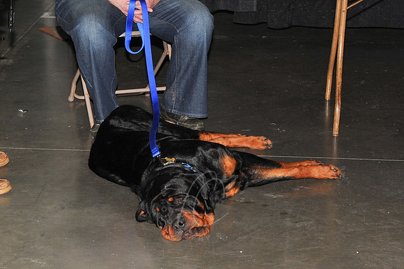 DRTTR_1-24-13_LLC_SUN-71