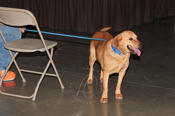 DRTTR_1-24-13_LLC_SUN-72