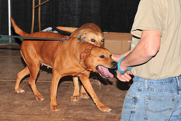 DRTTR_1-24-13_LLC_SUN-74