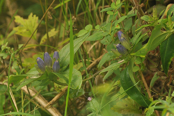 D74_3320