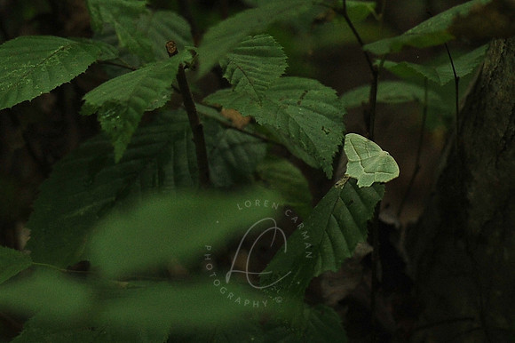 D74_3042