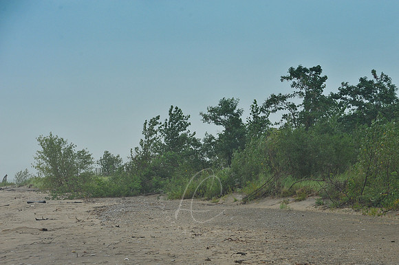 D74_2932