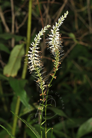 D74_3256