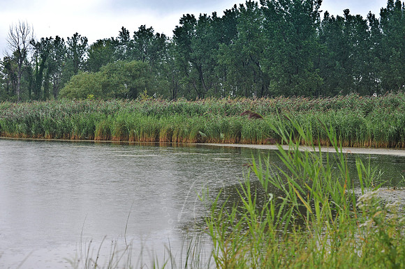 D74_2909