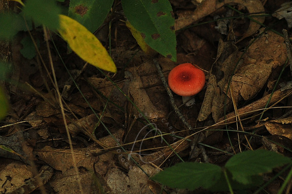 D74_3014