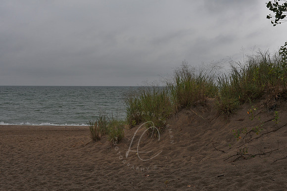 D74_2828