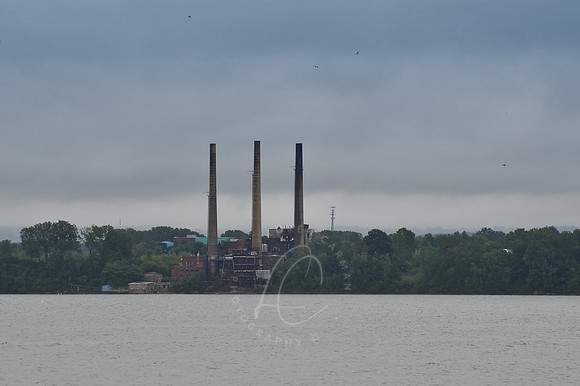 D74_2881