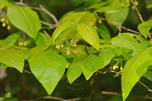 D79_0325