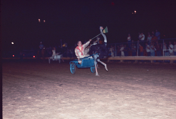 Unknown and an Ostrich at Williams Grove-4
