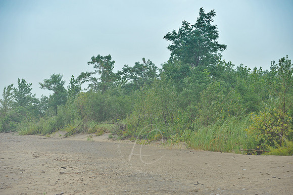 D74_2931