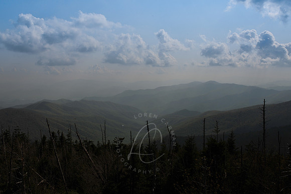 D79_0531