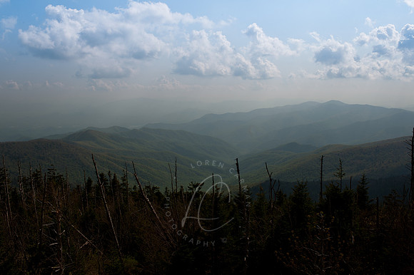 D79_0533