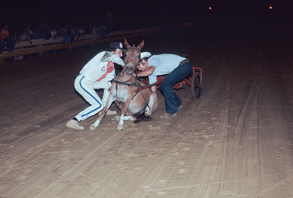 Larry Gorman and a Mule at Williams Grove-4