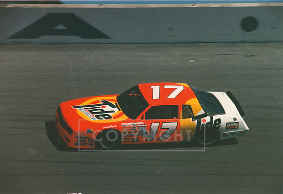#17 Unknown Cup