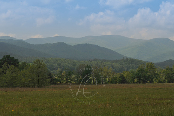 D79_0520