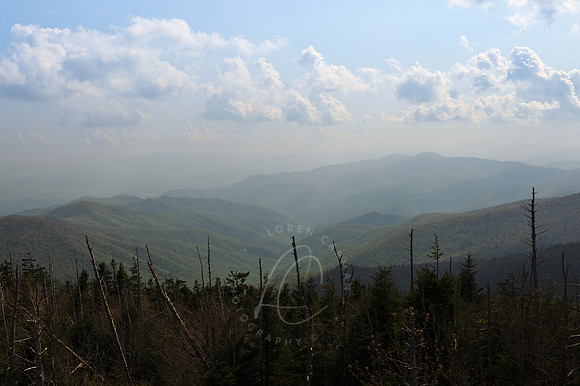 D79_0534